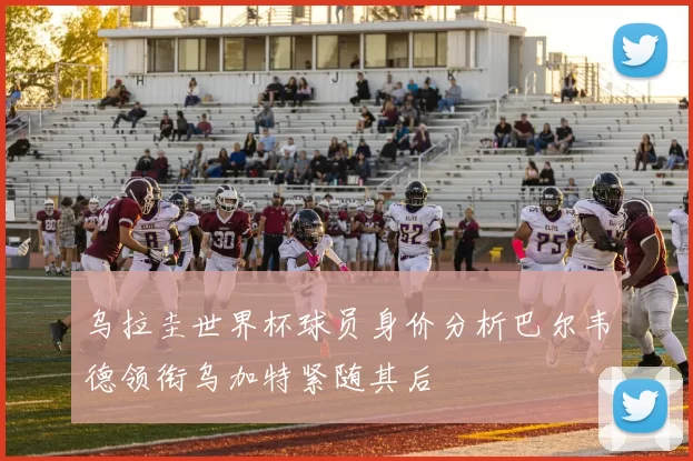 乌拉圭世界杯球员身价分析巴尔韦德领衔乌加特紧随其后